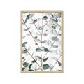 Picture of Eucalyptus Vine _GroupedProduct_Rectangle_Portrait_Photography _GroupedProduct_Rectangle_Portrait_Framed_Matted_