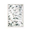Picture of Eucalyptus Vine _GroupedProduct_Rectangle_Portrait_Photography _GroupedProduct_Rectangle_Portrait_Framed_Matted_