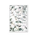Picture of Eucalyptus Vine _GroupedProduct_Rectangle_Portrait_Photography _GroupedProduct_Rectangle_Portrait_Framed_Matted_