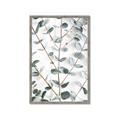 Picture of Eucalyptus Vine _GroupedProduct_Rectangle_Portrait_Photography _GroupedProduct_Rectangle_Portrait_Framed_Matted_