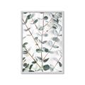 Picture of Eucalyptus Vine _GroupedProduct_Rectangle_Portrait_Photography _GroupedProduct_Rectangle_Portrait_Framed_Matted_