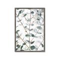 Picture of Eucalyptus Vine _GroupedProduct_Rectangle_Portrait_Photography _GroupedProduct_Rectangle_Portrait_Framed_Matted_