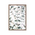 Picture of Eucalyptus Vine _GroupedProduct_Rectangle_Portrait_Photography _GroupedProduct_Rectangle_Portrait_Framed_Matted_