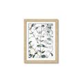 Picture of Eucalyptus Vine _GroupedProduct_Rectangle_Portrait_Photography _GroupedProduct_Rectangle_Portrait_Framed_Matted_
