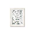Picture of Eucalyptus Vine _GroupedProduct_Rectangle_Portrait_Photography _GroupedProduct_Rectangle_Portrait_Framed_Matted_