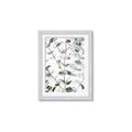 Picture of Eucalyptus Vine _GroupedProduct_Rectangle_Portrait_Photography _GroupedProduct_Rectangle_Portrait_Framed_Matted_