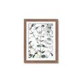 Picture of Eucalyptus Vine _GroupedProduct_Rectangle_Portrait_Photography _GroupedProduct_Rectangle_Portrait_Framed_Matted_