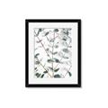 Picture of Eucalyptus Vine _GroupedProduct_Rectangle_Portrait_Photography _GroupedProduct_Rectangle_Portrait_Framed_Matted_