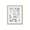 Picture of Eucalyptus Vine _GroupedProduct_Rectangle_Portrait_Photography _GroupedProduct_Rectangle_Portrait_Framed_Matted_