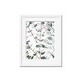 Picture of Eucalyptus Vine _GroupedProduct_Rectangle_Portrait_Photography _GroupedProduct_Rectangle_Portrait_Framed_Matted_