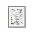 Picture of Eucalyptus Vine _GroupedProduct_Rectangle_Portrait_Photography _GroupedProduct_Rectangle_Portrait_Framed_Matted_