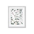 Picture of Eucalyptus Vine _GroupedProduct_Rectangle_Portrait_Photography _GroupedProduct_Rectangle_Portrait_Framed_Matted_