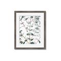Picture of Eucalyptus Vine _GroupedProduct_Rectangle_Portrait_Photography _GroupedProduct_Rectangle_Portrait_Framed_Matted_