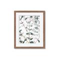 Picture of Eucalyptus Vine _GroupedProduct_Rectangle_Portrait_Photography _GroupedProduct_Rectangle_Portrait_Framed_Matted_