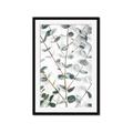 Picture of Eucalyptus Vine _GroupedProduct_Rectangle_Portrait_Photography _GroupedProduct_Rectangle_Portrait_Framed_Matted_
