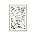 Picture of Eucalyptus Vine _GroupedProduct_Rectangle_Portrait_Photography _GroupedProduct_Rectangle_Portrait_Framed_Matted_