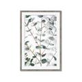 Picture of Eucalyptus Vine _GroupedProduct_Rectangle_Portrait_Photography _GroupedProduct_Rectangle_Portrait_Framed_Matted_