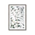 Picture of Eucalyptus Vine _GroupedProduct_Rectangle_Portrait_Photography _GroupedProduct_Rectangle_Portrait_Framed_Matted_