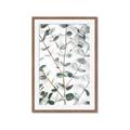 Picture of Eucalyptus Vine _GroupedProduct_Rectangle_Portrait_Photography _GroupedProduct_Rectangle_Portrait_Framed_Matted_