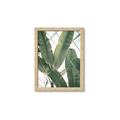 Picture of Banana Plant _GroupedProduct_Rectangle_Portrait_Photography _GroupedProduct_Rectangle_Portrait_Framed_Matted_