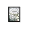 Picture of Tropical Greenhouse lll _GroupedProduct_Rectangle_Portrait_Photography _GroupedProduct_Rectangle_Portrait_Framed_Matted_