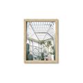 Picture of Tropical Greenhouse lll _GroupedProduct_Rectangle_Portrait_Photography _GroupedProduct_Rectangle_Portrait_Framed_Matted_