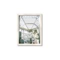 Picture of Tropical Greenhouse lll _GroupedProduct_Rectangle_Portrait_Photography _GroupedProduct_Rectangle_Portrait_Framed_Matted_