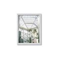 Picture of Tropical Greenhouse lll _GroupedProduct_Rectangle_Portrait_Photography _GroupedProduct_Rectangle_Portrait_Framed_Matted_