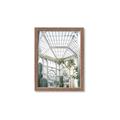 Picture of Tropical Greenhouse lll _GroupedProduct_Rectangle_Portrait_Photography _GroupedProduct_Rectangle_Portrait_Framed_Matted_