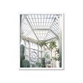 Picture of Tropical Greenhouse lll _GroupedProduct_Rectangle_Portrait_Photography _GroupedProduct_Rectangle_Portrait_Framed_Matted_