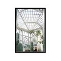 Picture of Tropical Greenhouse lll _GroupedProduct_Rectangle_Portrait_Photography _GroupedProduct_Rectangle_Portrait_Framed_Matted_