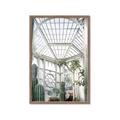 Picture of Tropical Greenhouse lll _GroupedProduct_Rectangle_Portrait_Photography _GroupedProduct_Rectangle_Portrait_Framed_Matted_
