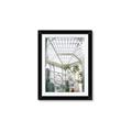 Picture of Tropical Greenhouse lll _GroupedProduct_Rectangle_Portrait_Photography _GroupedProduct_Rectangle_Portrait_Framed_Matted_