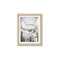 Picture of Tropical Greenhouse lll _GroupedProduct_Rectangle_Portrait_Photography _GroupedProduct_Rectangle_Portrait_Framed_Matted_
