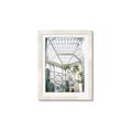 Picture of Tropical Greenhouse lll _GroupedProduct_Rectangle_Portrait_Photography _GroupedProduct_Rectangle_Portrait_Framed_Matted_