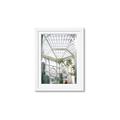 Picture of Tropical Greenhouse lll _GroupedProduct_Rectangle_Portrait_Photography _GroupedProduct_Rectangle_Portrait_Framed_Matted_