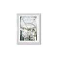 Picture of Tropical Greenhouse lll _GroupedProduct_Rectangle_Portrait_Photography _GroupedProduct_Rectangle_Portrait_Framed_Matted_