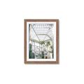 Picture of Tropical Greenhouse lll _GroupedProduct_Rectangle_Portrait_Photography _GroupedProduct_Rectangle_Portrait_Framed_Matted_