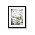 Picture of Tropical Greenhouse lll _GroupedProduct_Rectangle_Portrait_Photography _GroupedProduct_Rectangle_Portrait_Framed_Matted_