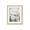 Picture of Tropical Greenhouse lll _GroupedProduct_Rectangle_Portrait_Photography _GroupedProduct_Rectangle_Portrait_Framed_Matted_