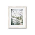 Picture of Tropical Greenhouse lll _GroupedProduct_Rectangle_Portrait_Photography _GroupedProduct_Rectangle_Portrait_Framed_Matted_