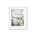 Picture of Tropical Greenhouse lll _GroupedProduct_Rectangle_Portrait_Photography _GroupedProduct_Rectangle_Portrait_Framed_Matted_