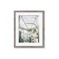 Picture of Tropical Greenhouse lll _GroupedProduct_Rectangle_Portrait_Photography _GroupedProduct_Rectangle_Portrait_Framed_Matted_