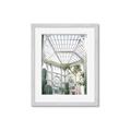 Picture of Tropical Greenhouse lll _GroupedProduct_Rectangle_Portrait_Photography _GroupedProduct_Rectangle_Portrait_Framed_Matted_