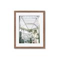 Picture of Tropical Greenhouse lll _GroupedProduct_Rectangle_Portrait_Photography _GroupedProduct_Rectangle_Portrait_Framed_Matted_