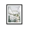 Picture of Tropical Greenhouse lll _GroupedProduct_Rectangle_Portrait_Photography _GroupedProduct_Rectangle_Portrait_Framed_Matted_