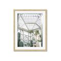 Picture of Tropical Greenhouse lll _GroupedProduct_Rectangle_Portrait_Photography _GroupedProduct_Rectangle_Portrait_Framed_Matted_