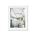 Picture of Tropical Greenhouse lll _GroupedProduct_Rectangle_Portrait_Photography _GroupedProduct_Rectangle_Portrait_Framed_Matted_