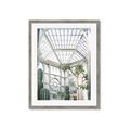 Picture of Tropical Greenhouse lll _GroupedProduct_Rectangle_Portrait_Photography _GroupedProduct_Rectangle_Portrait_Framed_Matted_