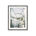 Picture of Tropical Greenhouse lll _GroupedProduct_Rectangle_Portrait_Photography _GroupedProduct_Rectangle_Portrait_Framed_Matted_